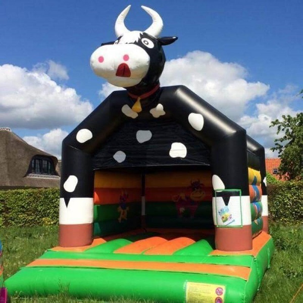 springkussen maasdriel